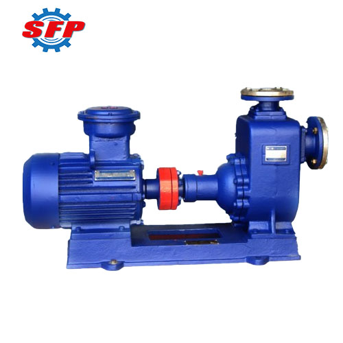 ZX Agricultural Irrigation Pump